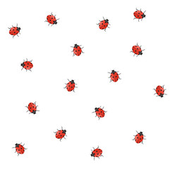 Coccinelles (motif sans raccord)