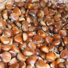 Panier de chataignes