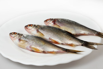 River fish on a plate
