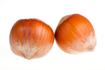 Hazelnuts