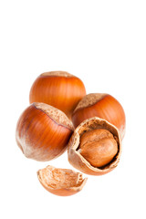 Hazelnuts