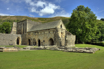 Fototapeta na wymiar Valle Crucis Abbey