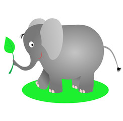 Elefante