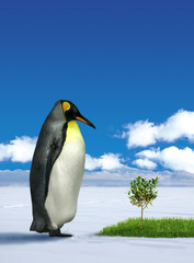 Penguin wondering grass