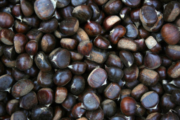 chestnut