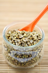 pot de cotomili, coriandre indien