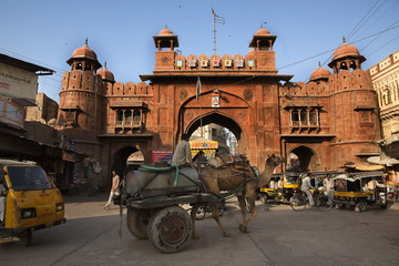 Fototapeta premium gate in Bikaner