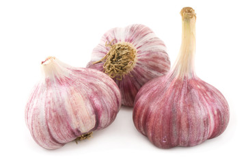 Obraz premium Garlic