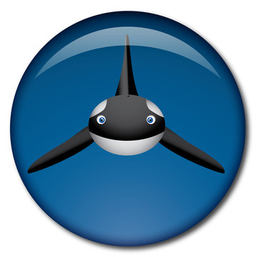 Chapa orca