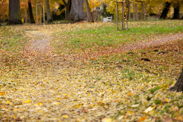 Autumn