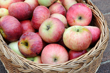 rote Äpfel