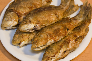 Fried fish in plate