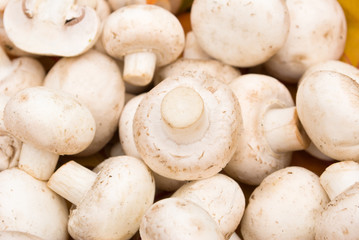 food serias: some mushrooms