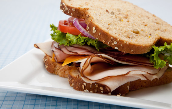 Turkey sandwich on whole grain bread