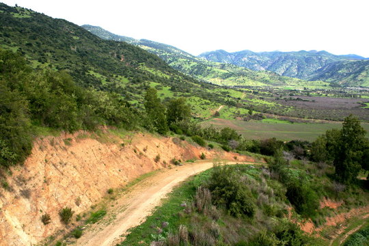 landscape Chile - Vineyards