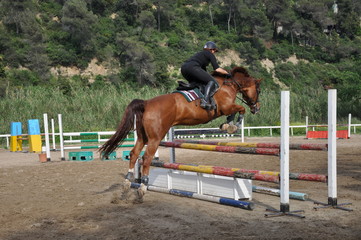 equitazione