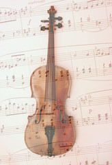 Violine