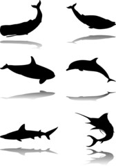 Set of marine animals