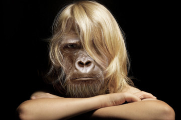 Der Affe im Menschen wd262 - 18041549