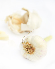 Knoblauch