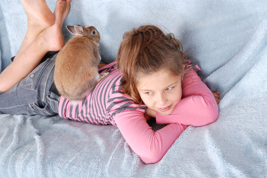 solicitous guardian of the rabbit
