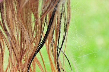 Haare