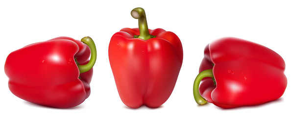 Photorealistic vector illustration of red sweet pepper.