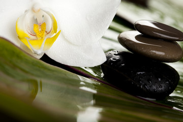 Spa still life with white flowers