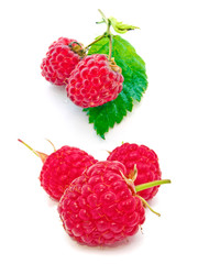 Set of Juicy Raspberries