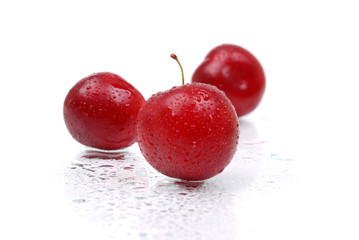 Ripe and juicy plums on white