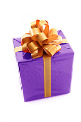 Christmas present on white