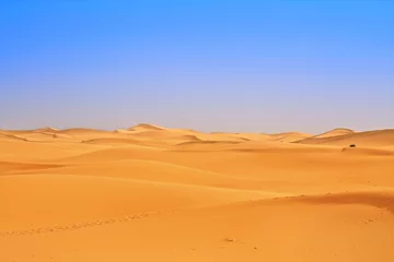 Fensteraufkleber wide view of sand dunes © kmit