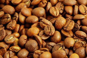 coffee grain