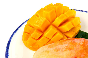 mangue assiette fond blanc