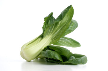 fresh organic pak choi on a white background