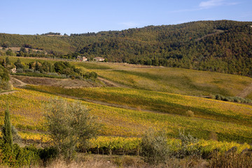 tuscany nature