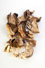 dried wild organic porcini mushroom on white background