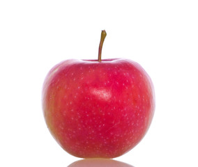 Red ripe apple