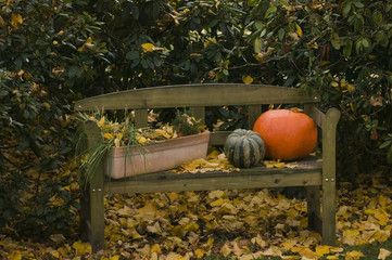 Halloween Bank