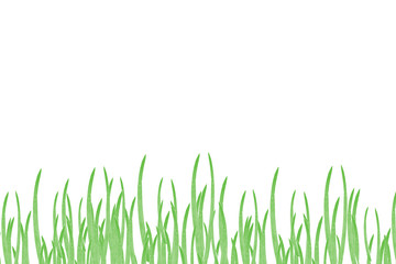 Obraz premium Grass