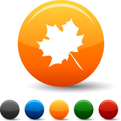 Autumn icon set. Vector illustration