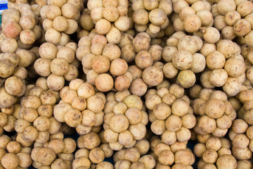 Tropical fruit langsat