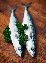 fisch
