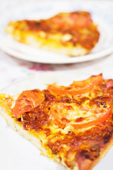 A slice of pizza with tomato and cheese on plate