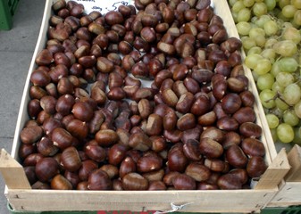 Esskastanien - Stadtmarkt Augsburg