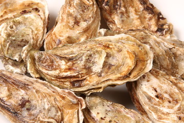 huîtres
