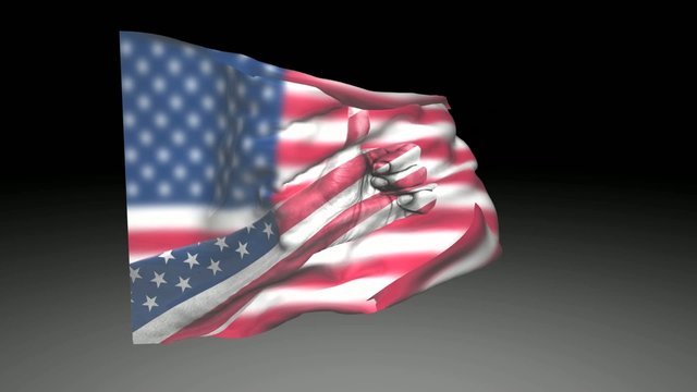 Video Bandiera Stati Uniti USA