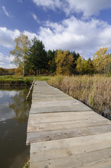 Obraz premium Autumn on the lake