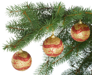 christmas balls on fir branch