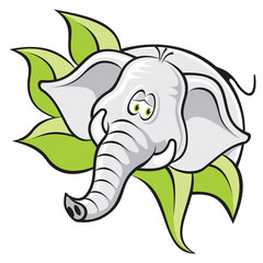 Elefante